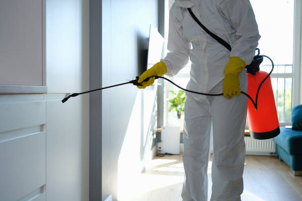 Best Certified Mold Removal  in Mulberry, OH